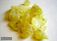 فوائد المستكة للبشرة والتبييض وطرق الاستخدام فوائد المستكة للبشرة والتبييض وطرق الاستخدام