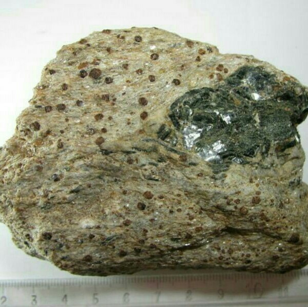 ما هي أنواع الصخور المتحولة ما هي أنواع الصخور المتحولة