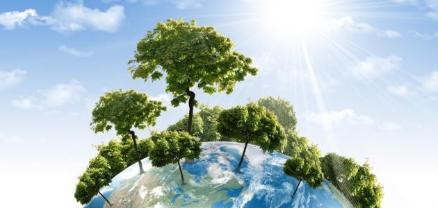 عناصر البيئة ومكوناتها عناصر البيئة ومكوناتها