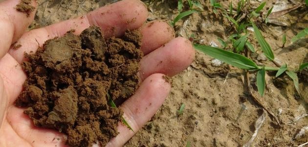 كيف يمكن قياس درجة حموضة التربة كيف يمكن قياس درجة حموضة التربة