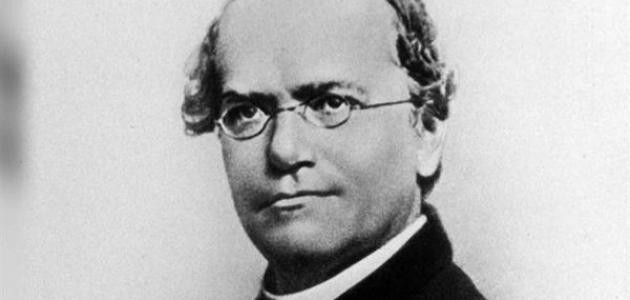 تقرير عن حياة عالم الوراثة مندل