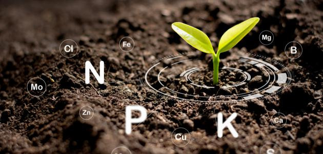 استخدام النيتروجين في الزراعة استخدام النيتروجين في الزراعة