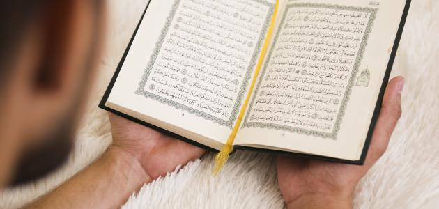 تعلم ترتيل القرآن تعلم ترتيل القرآن