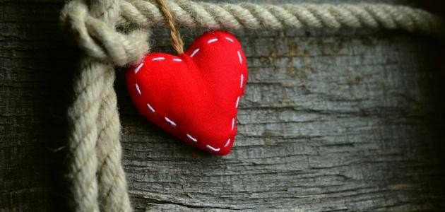 الفرق بين الحب والعشق الفرق بين الحب والعشق