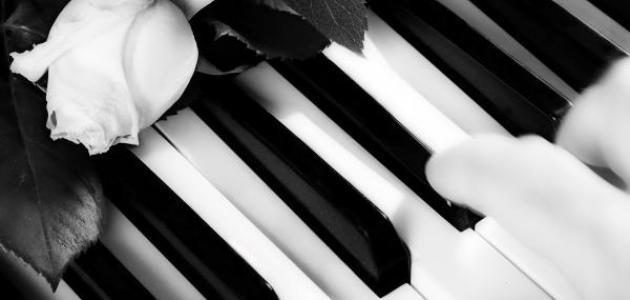 أجمل موسيقى هادئة أجمل موسيقى هادئة