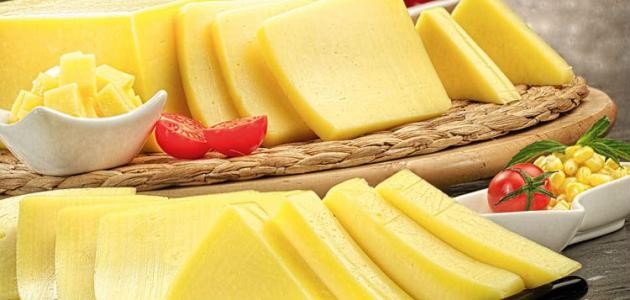 طريقة عمل جبنة طريقة عمل جبنة