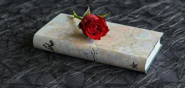 حكم وأمثال حكم وأمثال