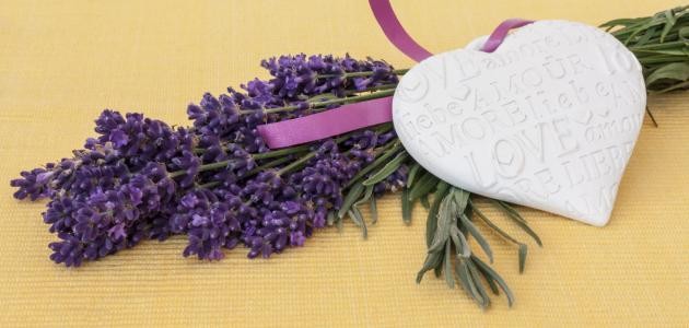 اجمل القصائد الغزلية اجمل القصائد الغزلية