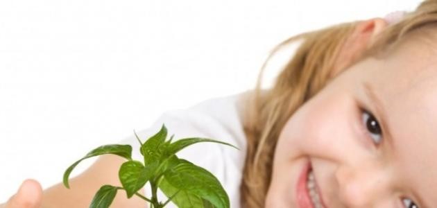 معنى اسم شوق معنى اسم شوق