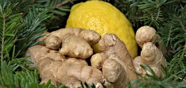 تقوية جهاز المناعة بالاعشاب تقوية جهاز المناعة بالاعشاب