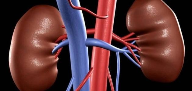 علاج الفشل الكلوي المزمن علاج الفشل الكلوي المزمن