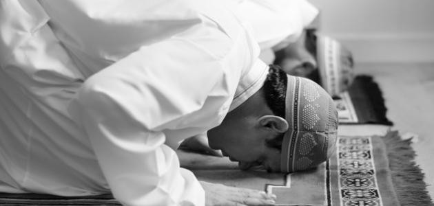 طريقة صلاة الشفع والوتر طريقة صلاة الشفع والوتر