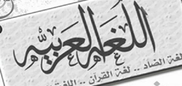 تعبير اللغة العربية تعبير اللغة العربية