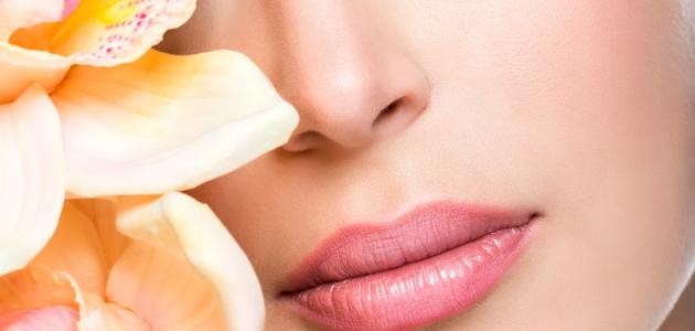 وصفة لتصغير الشفاه وصفة لتصغير الشفاه