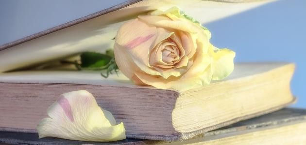 موضوع تعبير عن العلم