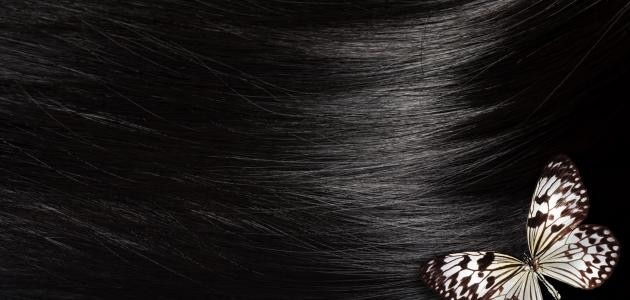 أحسن زيت للشعر الجاف أحسن زيت للشعر الجاف