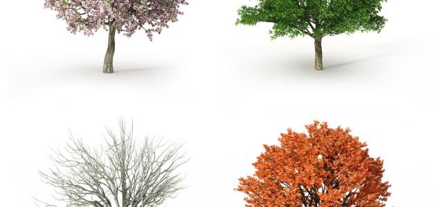 ترتيب الفصول الاربعة ترتيب الفصول الاربعة