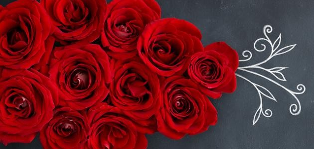 كيف يبدأ الحب