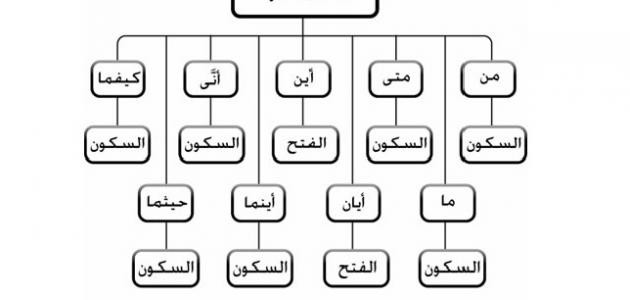ما هي ادوات الشرط