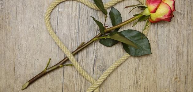 ما هي درجات الحب ما هي درجات الحب