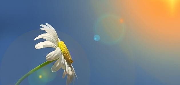 يارب حقق امنيتي يارب حقق امنيتي