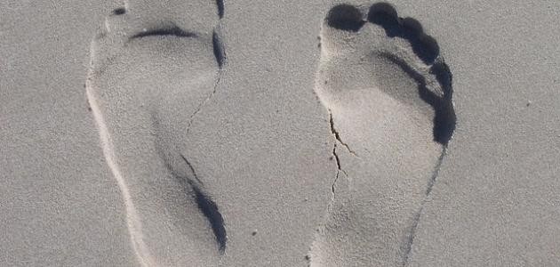 مشيناها خطى كتبت علينا