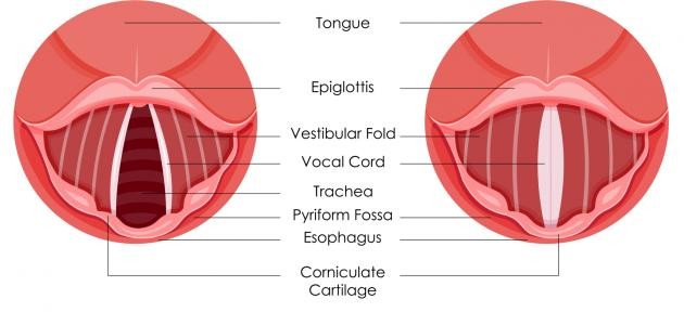 علاج تشقق اللسان علاج تشقق اللسان