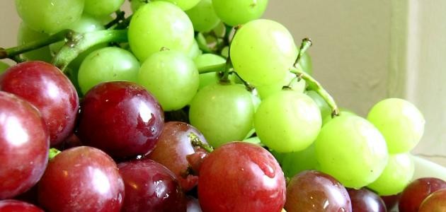 تفسير اكل العنب في المنام تفسير اكل العنب في المنام