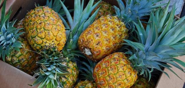 فوائد الأناناس الصحية فوائد الأناناس الصحية