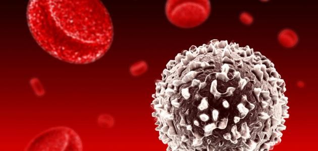 ما وظيفة كريات الدم البيضاء ما وظيفة كريات الدم البيضاء