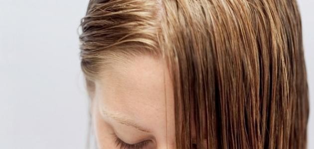 كيف أعتني بشعري الدهني كيف أعتني بشعري الدهني