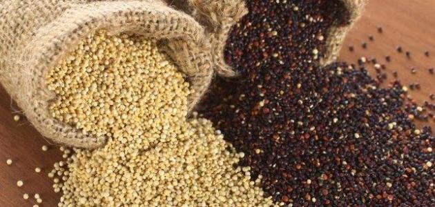 فوائد بذور الكينوا فوائد بذور الكينوا