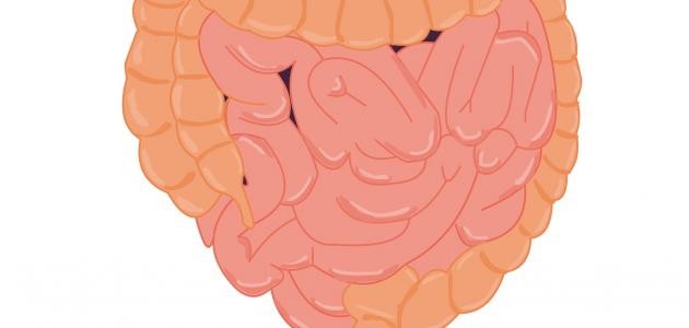تطعيم الغدة النكافية تطعيم الغدة النكافية