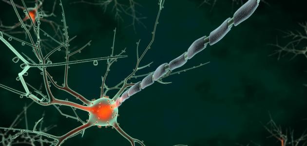 ما هو التهاب العصب السابع ما هو التهاب العصب السابع