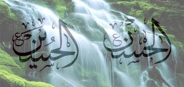 أحفاد الرسول صلى الله عليه وسلم أحفاد الرسول صلى الله عليه وسلم