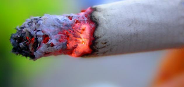 ما هي مكونات الدخان ما هي مكونات الدخان