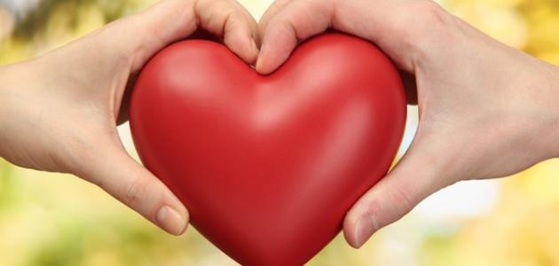 أشعار قصيرة عن الحب أشعار قصيرة عن الحب