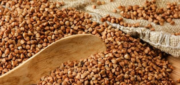 ما هي الحنطة ما هي الحنطة