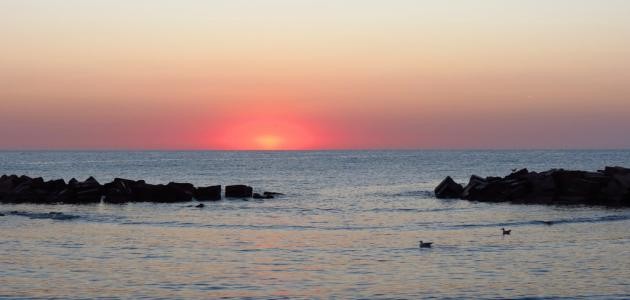 لماذا سمي البحر الأسود بهذا الإسم لماذا سمي البحر الأسود بهذا الإسم