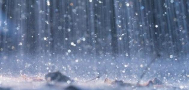 كلمات جميلة عن المطر كلمات جميلة عن المطر