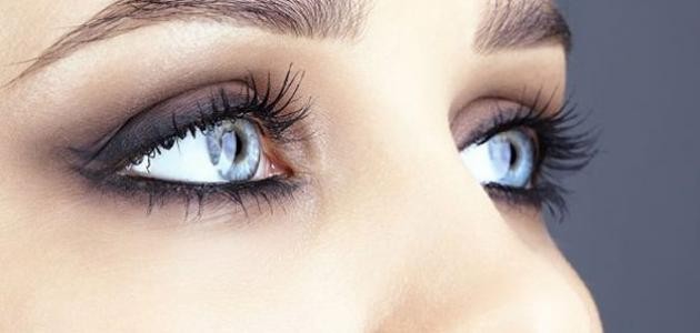 لتكثيف شعر الحواجب لتكثيف شعر الحواجب