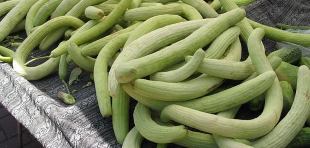 ما معنى القثاء ما معنى القثاء