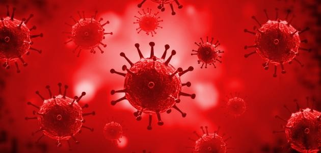 ما هي بكتيريا الدم ما هي بكتيريا الدم