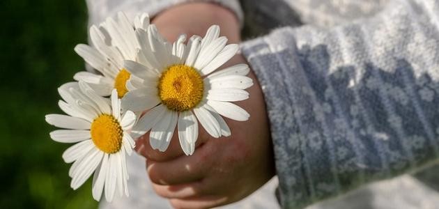 حديث كما تدين تدان