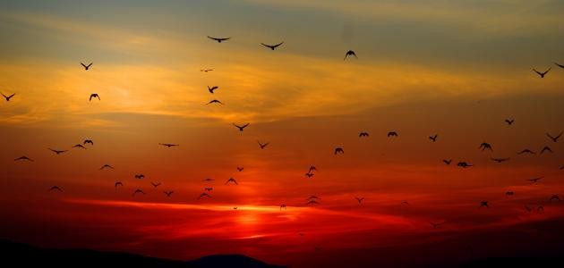 ثلاثة حق على الله عونهم ثلاثة حق على الله عونهم