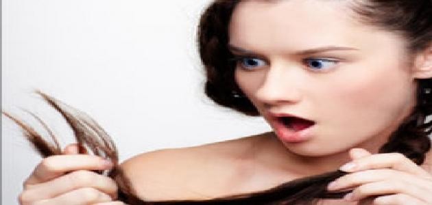 كيفية إزالة تقصف الشعر كيفية إزالة تقصف الشعر