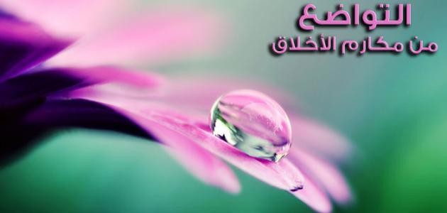 كلمات في التواضع كلمات في التواضع