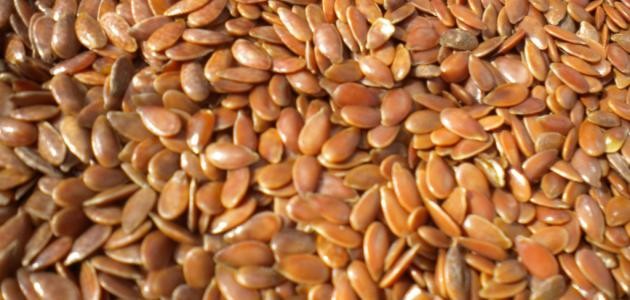 كيف تزرع البذور