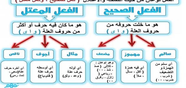 تصريف الفعل الصحيح تصريف الفعل الصحيح