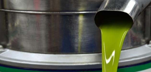 صناعة زيت الزيتون صناعة زيت الزيتون